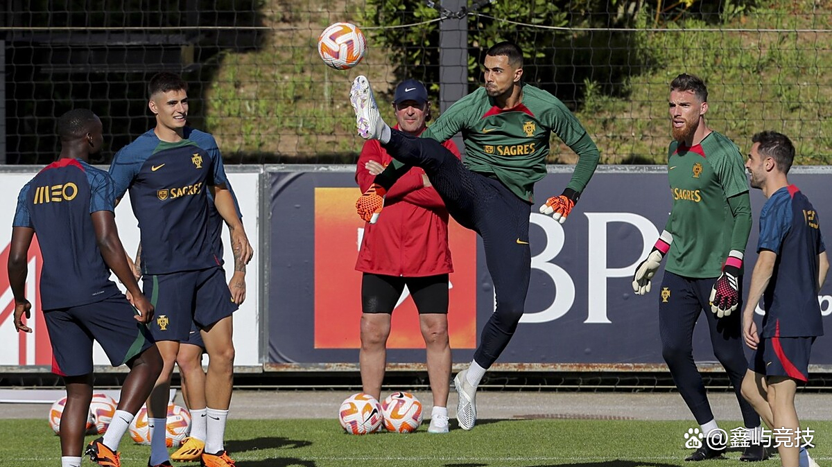 葡萄牙阵容豪华,欧洲杯预选赛备战如火如荼的简单介绍 葡萄牙阵容豪华,欧洲杯预选赛备战如火如荼的简单介绍