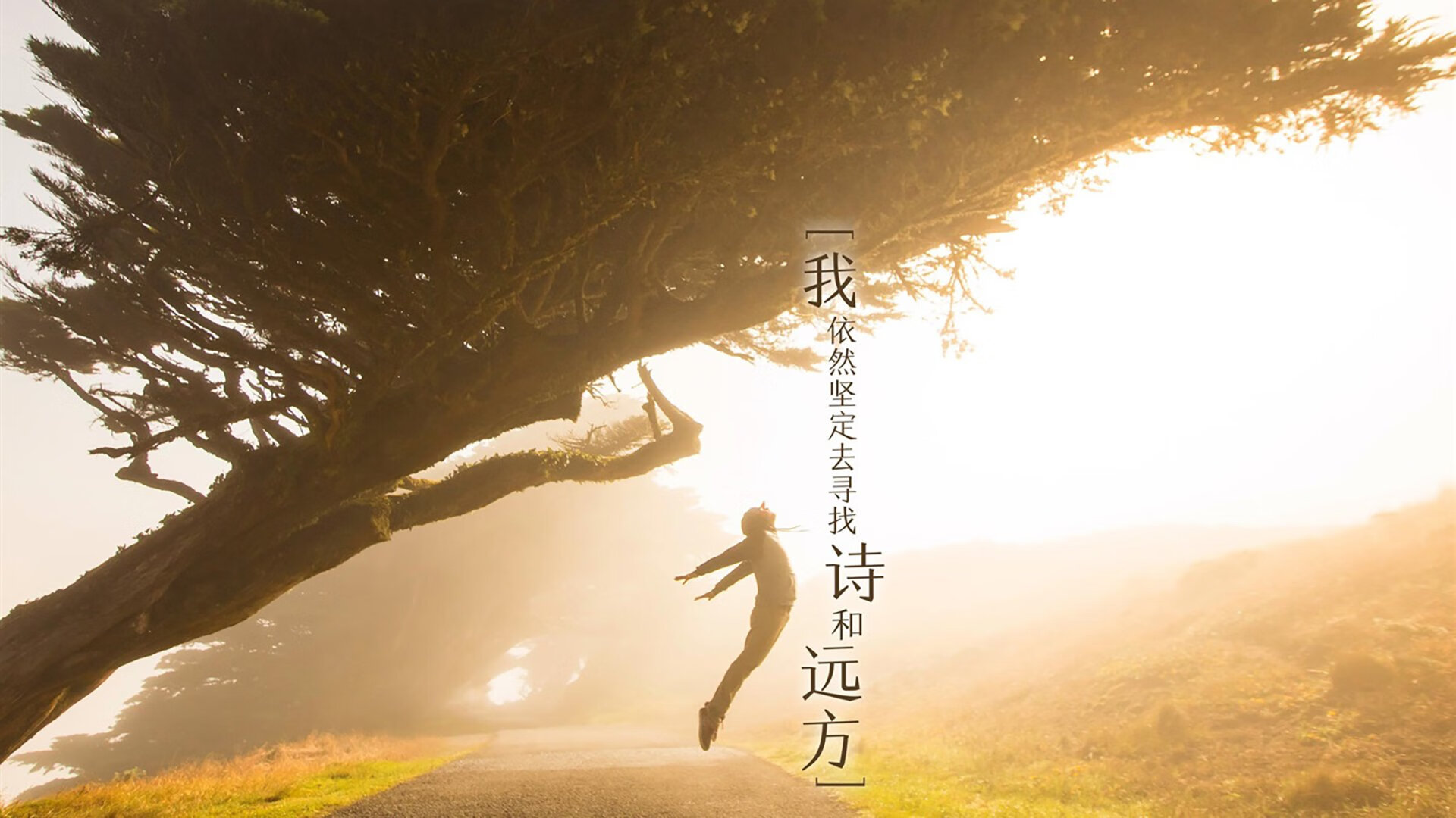 时代更迭！德里赫特奥运周期关键战接管比赛，马里在无声处完成王朝奠基