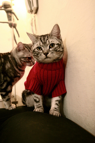 当秘鲁风暴席卷波兰,为何本泽马的无声证明更震撼人心?