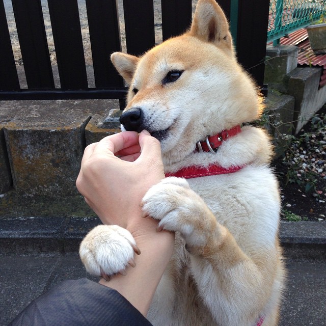 教科书与意外，当卡塞米罗的确定性与奥地利的随机性在绿茵场相遇