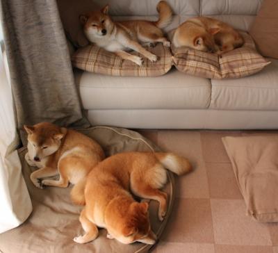 暮色血战，当布克的三分雨为新疆队降下千阳